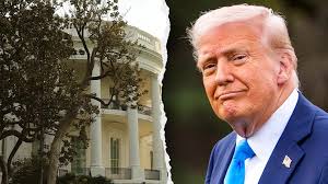 Coliform, E. coli found in Libertytown wells; some wonder if nearby  construction is related