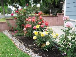 small rose garden in front yard (With images) | Rose garden design ...