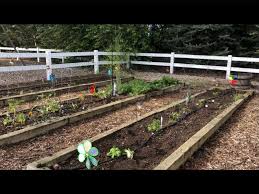 We did not find results for: How To Get Rid Of Garden Pests Chas Crazy Creations