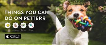 Get Full Time Pet Sitters With Petterr Petterrpetservices Pet Grooming Pet Sitters Pet Boarding