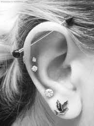 Industrial Piercing Both Ears Google Search Piercing Ear Peircings Cute Piercings
