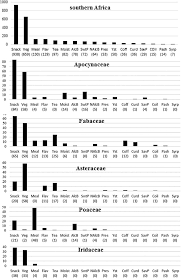 Image result for Lophiocarpus latifolius