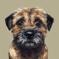 J'espère que cette peinture capture la nature concentrée, expectante et curieuse de. Border Terrier Print Ltd Ed Dog Art Painting Print Etsy Dog Portraits Border Terrier Dog Art