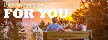 Adopt a dog or adopt a cat and you'll have a friend for life. Adopt A Pet Oregon Humane Society