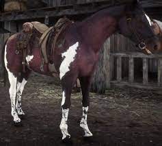 Tennessee walkers are used for riding. Tennessee Walker Red Dead Wiki Fandom