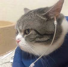 pin van l u i s a op m o o d s