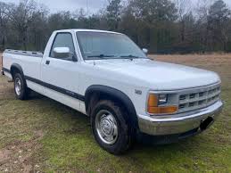 Image result for Bright White 1991 Dakota