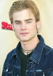 Fan Casting Josh Wilcox as David Gallagher in Which characters should  actors have played in the 2000's?