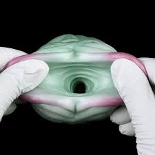 Seckoe Rubber Pussy Sex Toy for Men Tunnel Pocket Pussy Masturbating  Realistic Masturbators Monster Solo Vagina Pocket Pussy Silicone  Mastrubrator Real Masturbator Man : Amazon.de: Health & Personal Care