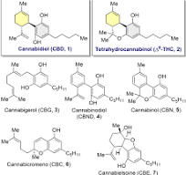 Synthesis of (−)‐Cannabidiol (CBD), (−)‐Δ9‐ and (−)‐Δ8 ...