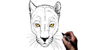He was a tall man past middle age, for his hair was a vivid white; How To Draw A Panther Step By Step Youtube
