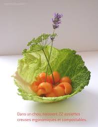 Petits Riens Du Tout Vaisselle Biodegradable Fruits Et Legumes Frais Vaisselle Gaspillage Alimentaire