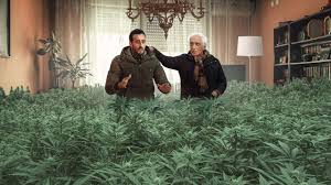 Tout savoir sur cette nouvelle série française avec gérard darmon. Family Business Renewed For Season 3 At Netflix What S On Netflix