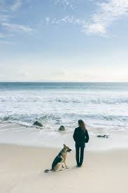 We did not find results for: California Protection Dogs For Sale German Shepherd Belgian Malinois Ccpd