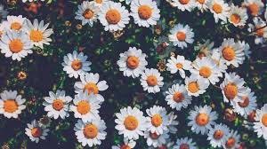 Wallpaper 3 In 2020 Aesthetic Wallpapers Wallpaper Background