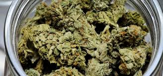 TV Reporter Quits On-Air to Focus