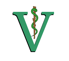 Com efeitos de desenho animado para transitar entre a passagem de tempo, a campanha reforça a idéia de que proteção solar é um ato de carinho para com quem amamos. Medicina Veterinaria Wikipedia La Enciclopedia Libre