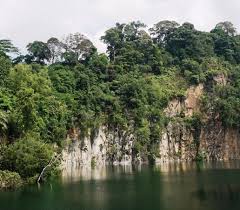 In the same elections in 2011 and 2015, bukit gombak represents in chua chu kang grc, there are two constituencies also in bukit gombak, one of which it is a different system. A Hidden Gem In Singapore Picture Of Bukit Batok Nature Park Singapore Tripadvisor