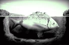 Ruyada Eli Yara Gormek Hayirli Ruyalar