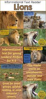 Lions Informational Reader For Early Learners Ebook Format Is Great For Ipads Computers And Smartboards Informational Text Lions Mammals