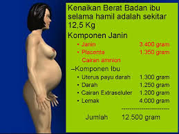 Berat janin di usia hamil 14 minggu berkisar 45 gram dan panjangnya sekitar 9 cm dari kepala sampai kaki. Menghitung Berat Badan Ideal Ibu Hamil Arali2008 Opini Dari Fakta Empiris