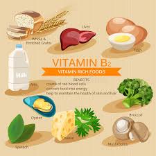 Vitamin B2 Vitamins And Minerals Foods Vector Flat Icons
