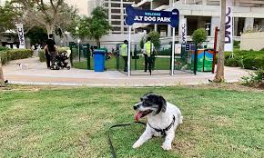 Maybe you would like to learn more about one of these? Dubai Dog Park Opens In Jumeirah Lake Towers Gulftoday