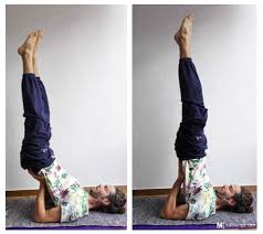 Salamba Sarvangasana Y Viparita Karani Asana Asanas Para El Sistema Linfatico Rutina De Yoga Para Principiantes Entrenamiento De Yoga Yoga