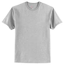 Hanes Tagless T Shirt