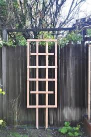 Here are 15+ creative diy pea trellis projects that will help you. 21 Best Diy Trellis Ideas For The Gardener In You Crazy Laura