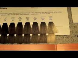 Cosmetology Haircoloring 3 Color Levels And Tones