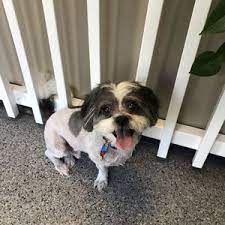 We have friendly new staff and new food items, including soups, sandwiches, and salads. West Coast Pet Memorial Seattle 33 Photos 15 Reviews Pet Cremation Services 23646 Military Rd S Kent Wa United States Phone Number