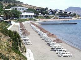 We did not find results for: T C Tarim Ve Orman Bakanligi