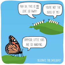 Can you think of more? Beatrice The Biologist School Jokes Science Humor Funny Cartoons