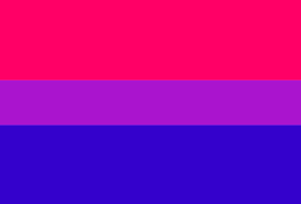 Bisexual groups:this folder is to submitting work with bisexuals and related groups containing three or more people. Bisexual Flag Magnet