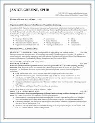 resume objective examples, resume skills