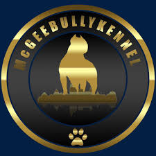 Profile for McGee Bully Kennel