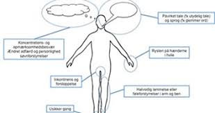 Maybe you would like to learn more about one of these? Forskning Og Viden Om Demens Alzheimer