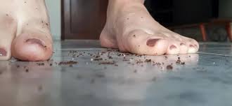 Feet, giantess view, arabic, domination, barefoot, crush, giantess, big  feet, bugs, ants, food & object crush,