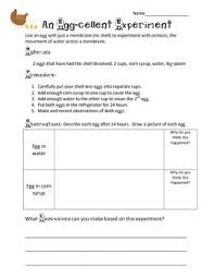 Science Inquiry Experiment Dissolving Eggshell Egg Membranes Scientific Method Science Teaching Resources Physical Science Lessons Science Inquiry