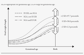 Prenatal Growth Chart Demonstrating Development Of Sga Vs