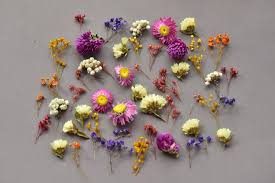 We did not find results for: Dried Tiny Flowers For Resin Tiny Flowers For Resin Jewelry Etsy