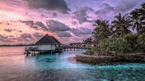 Check spelling or type a new query. Exotic Wallpaper