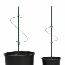 Low stress training is like bonsai for cannabis plants. The Og Spring