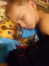 No infected feet to see here 👀, Floyd in his favourite spot 🔥