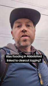 Is flooding in Abbotsford linked to clearcut logging? #flooding #loggi...