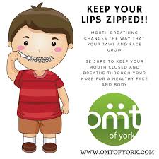 Pin By Oral Myofunctional Therapy Of On Mouth Breathing Myofunctional Therapy Orofacial Myofunctional Therapy Healthy Face