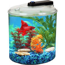 Hawkeye 1 5 Gallon Betta 360 Aquatank With Led Lighting Walmart Com Fish Tank Aquarium Fish Tank Aquarium Kit