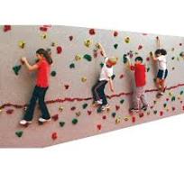 Everlast Wall Climbing System, 4 x 8 Foot Panel with 20 Hand Holds, Granite