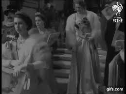 Maybe you would like to learn more about one of these? Spencer Honeysuckle Tiara The Royal Watcher
